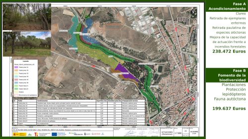 imagen principal Aprobados los proyectos que devolverán el equilibrio al bosque de Valorio