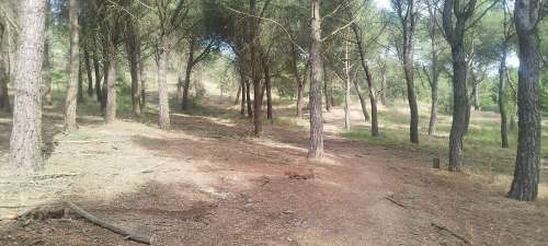 imagen principal Comienzan las obras de la actuación B4-A para la mejora del bosque de Valorio